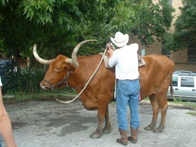 Students sit on this genuine, real-life Texas Longhorn for a photo to send back home