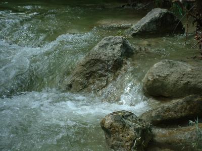 Praise the Lord for clear, cool water under a Texas summer sky!