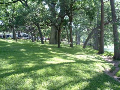 Cypress, Pecan, and Oak trees line the river bank